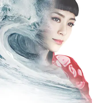 罗曼蒂克消亡史 电影海报