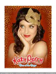 One of the Boys / Hello Katy Tour 时期官方周边