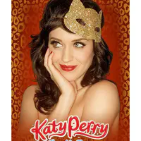 One of the Boys / Hello Katy Tour 时期官方周边