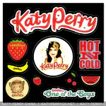 One of the Boys / Hello Katy Tour 时期官方周边
