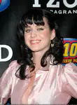 Z100's Zootopia 2008 - Press Room