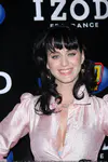 Z100's Zootopia 2008 - Press Room
