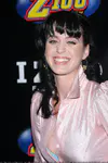 Z100's Zootopia 2008 - Press Room