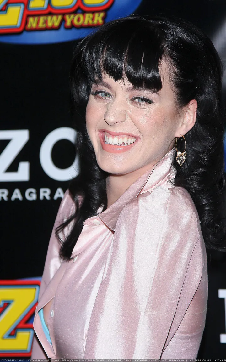 Z100's Zootopia 2008 - Press Room