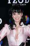 Z100's Zootopia 2008 - Press Room