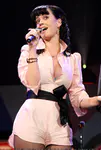 Z100's Zootopia 2008 - Show