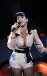 Z100's Zootopia 2008 - Show