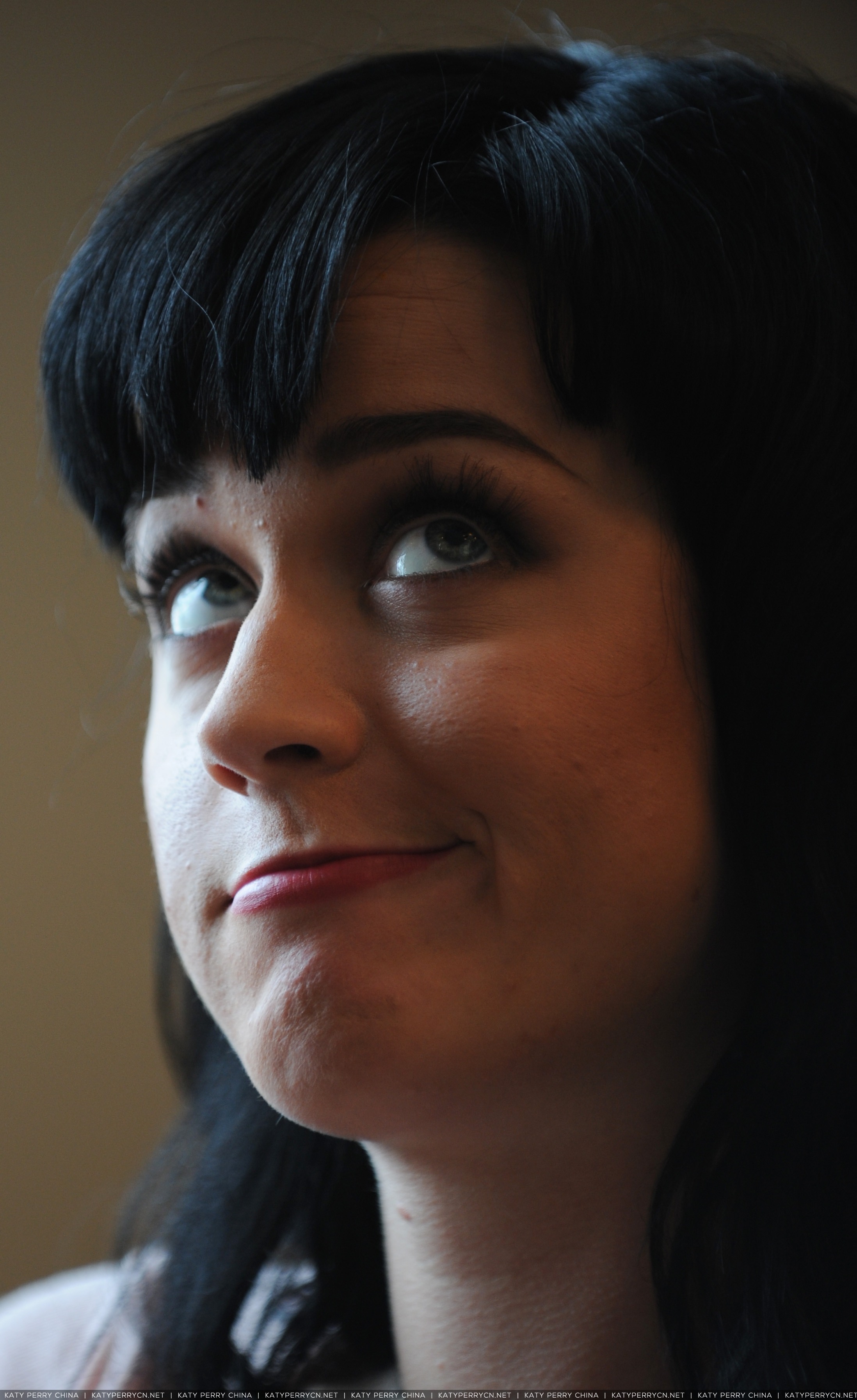 Toronto Star 采访 - 2008年5月11日