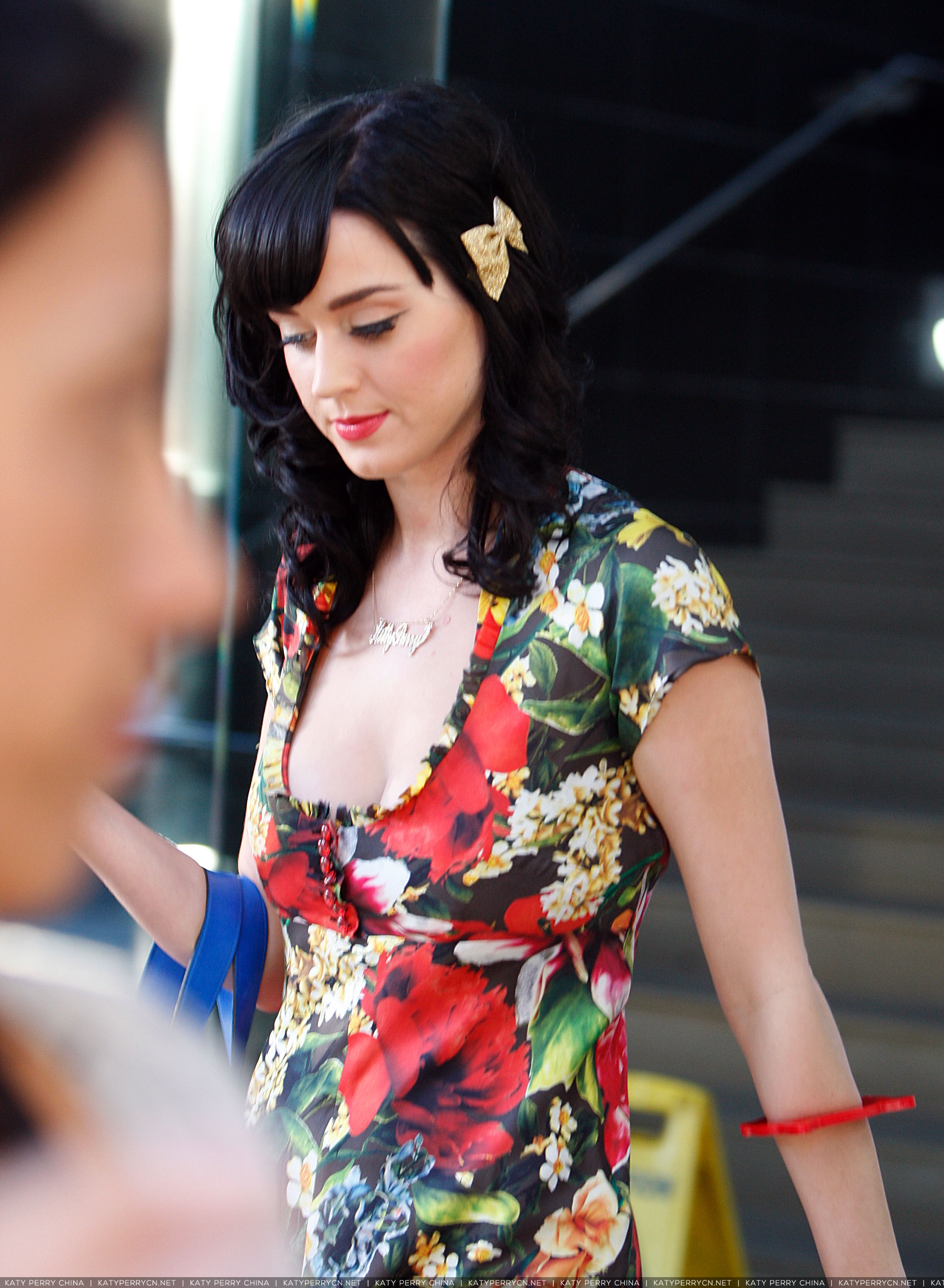 在悉尼外出 - 2008年10月10日