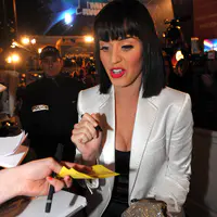 10th Annual NRJ Musics Awards 2009 - 红地毯