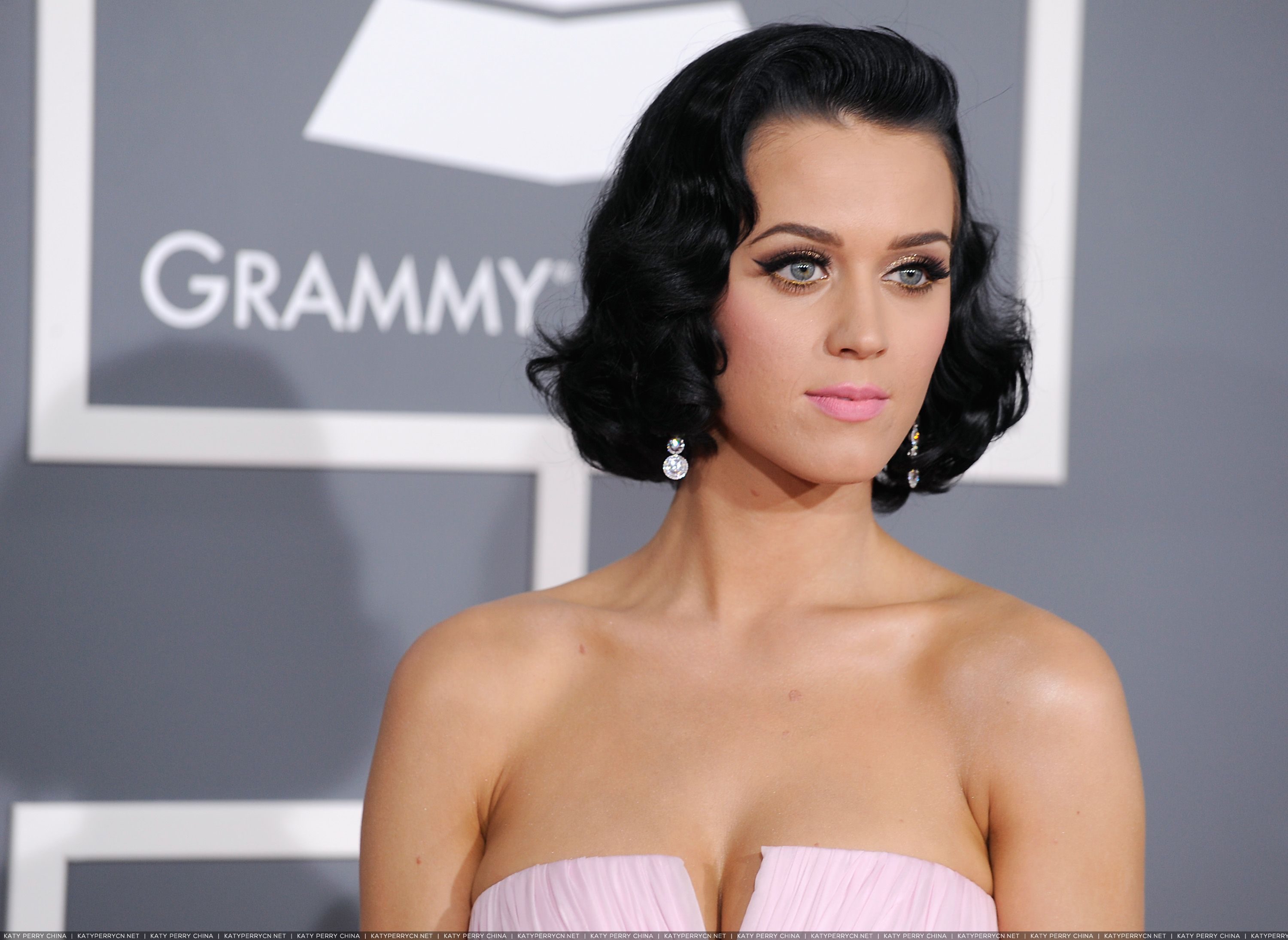 51st Annual Grammy Awards - Red carpet