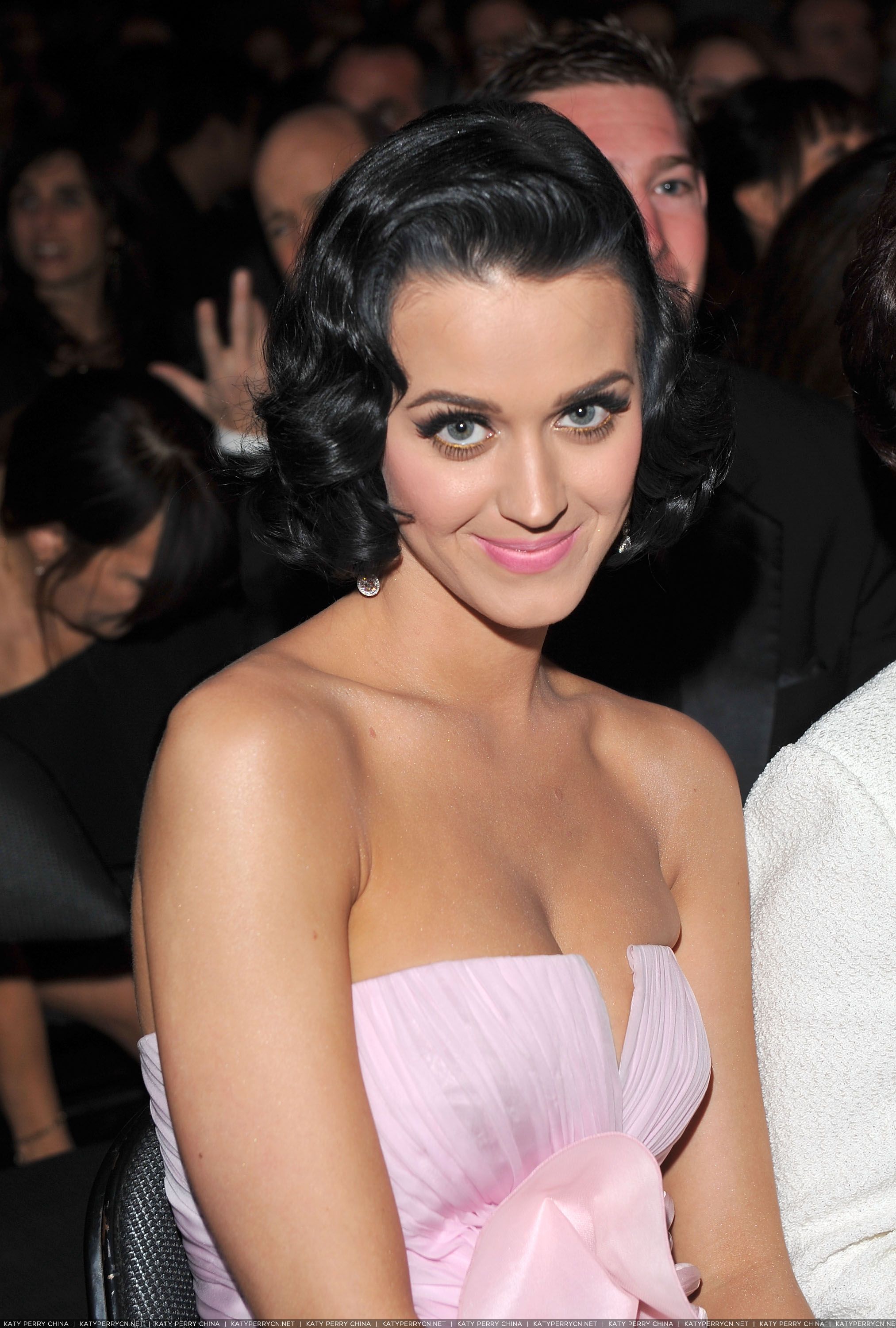 51st Annual Grammy Awards - Backstage and Audience