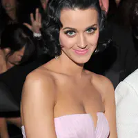 51st Annual Grammy Awards - Backstage and Audience