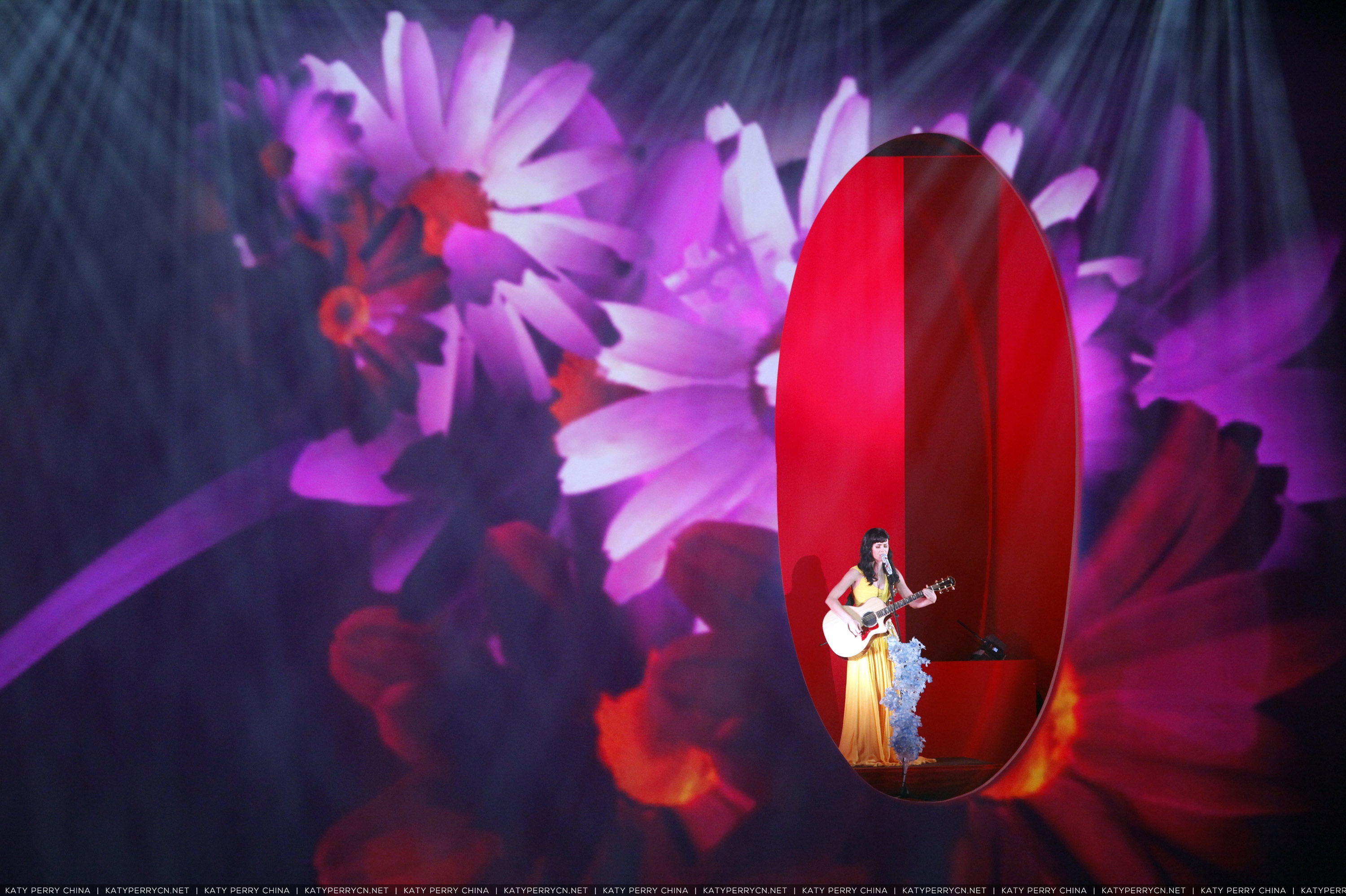 Echo Music Awards - Live Performs