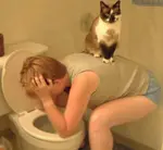 Twitter - 2009 存档