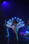 Live on Letterman Webcast