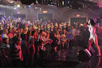 Live on Letterman Webcast