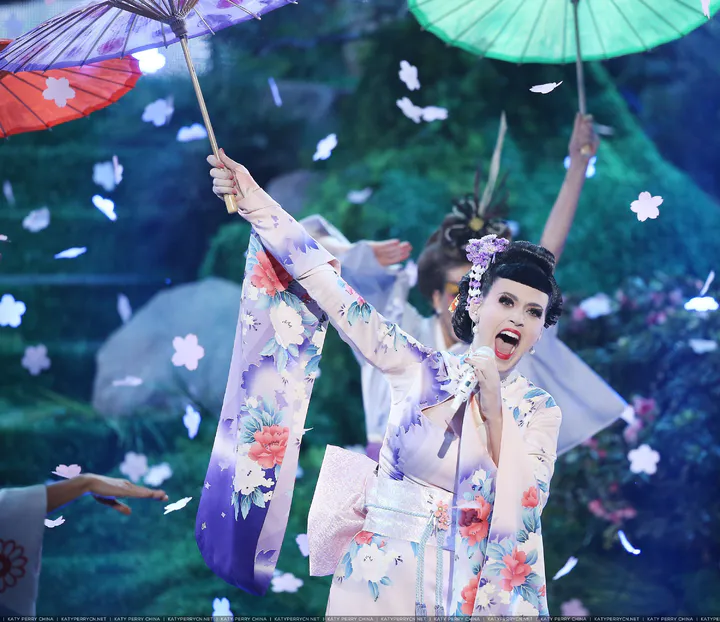 2013 American Music Awards - Show