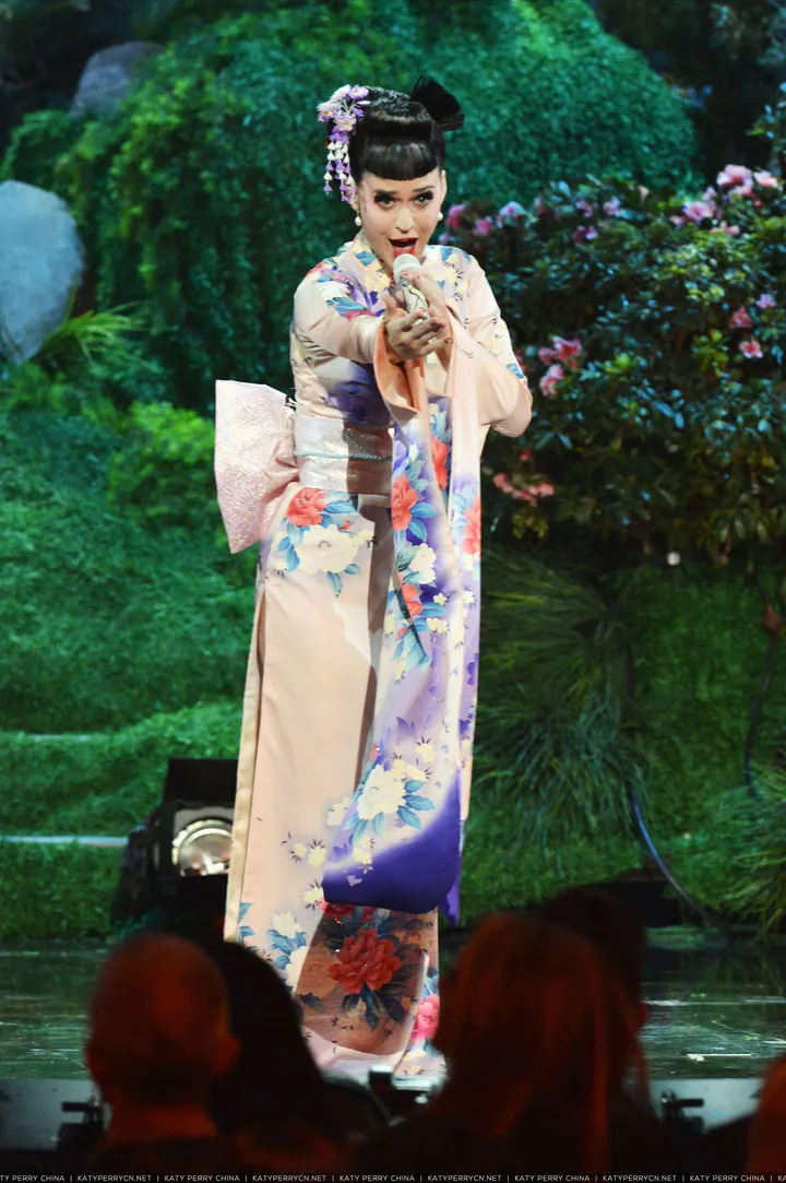 2013 American Music Awards - Show