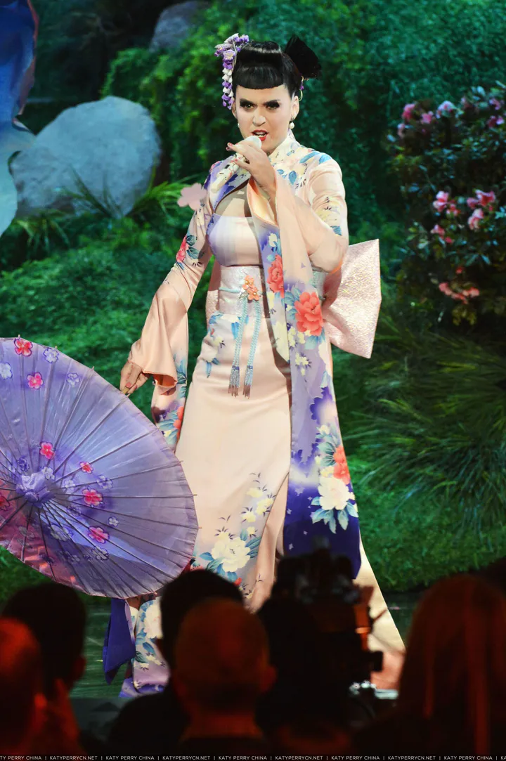 2013 American Music Awards - Show