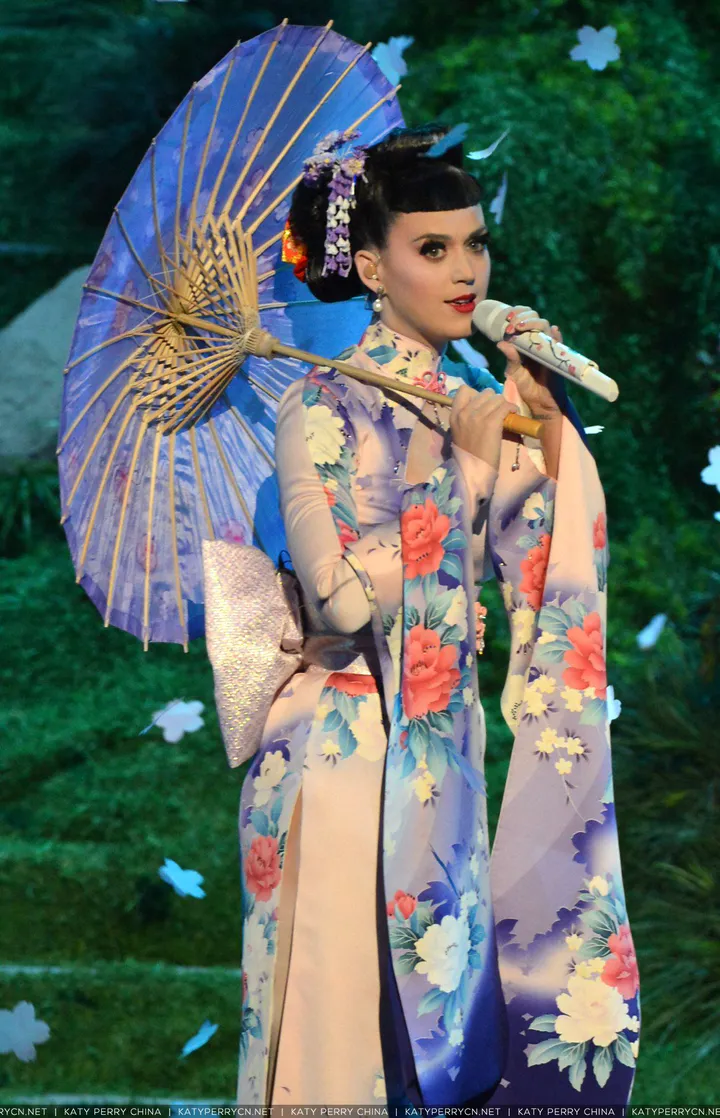 2013 American Music Awards - Show