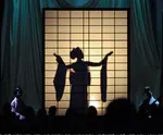 2013 American Music Awards - Show
