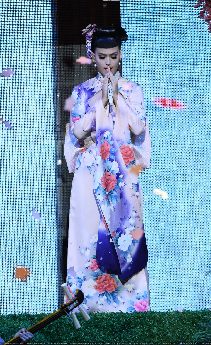 2013 American Music Awards - Show