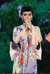 2013 American Music Awards - Show