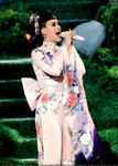 2013 American Music Awards - Show