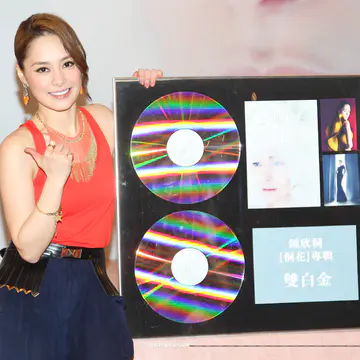 《桐花》专辑庆功会