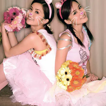 见习爱神 改版 老鼠爱大米 宣传照