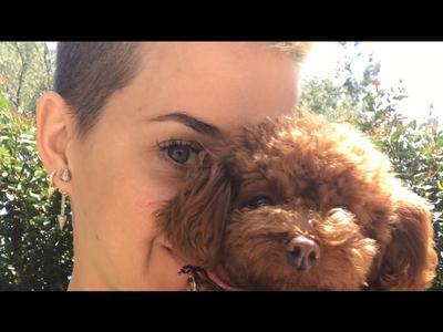 Bon Appétit 音乐录影带发布直播聊天