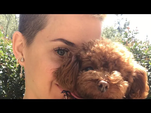 Bon Appétit 音乐录影带发布直播聊天