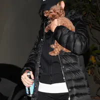 Katy Perry 抱着狗离开办公室 - 2019年1月10日街拍