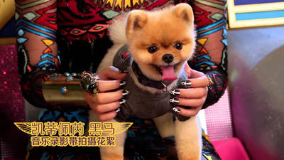 Dark Horse (音乐录影带幕后拍摄花絮)