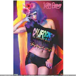 Teenage Dream 时期官方周边