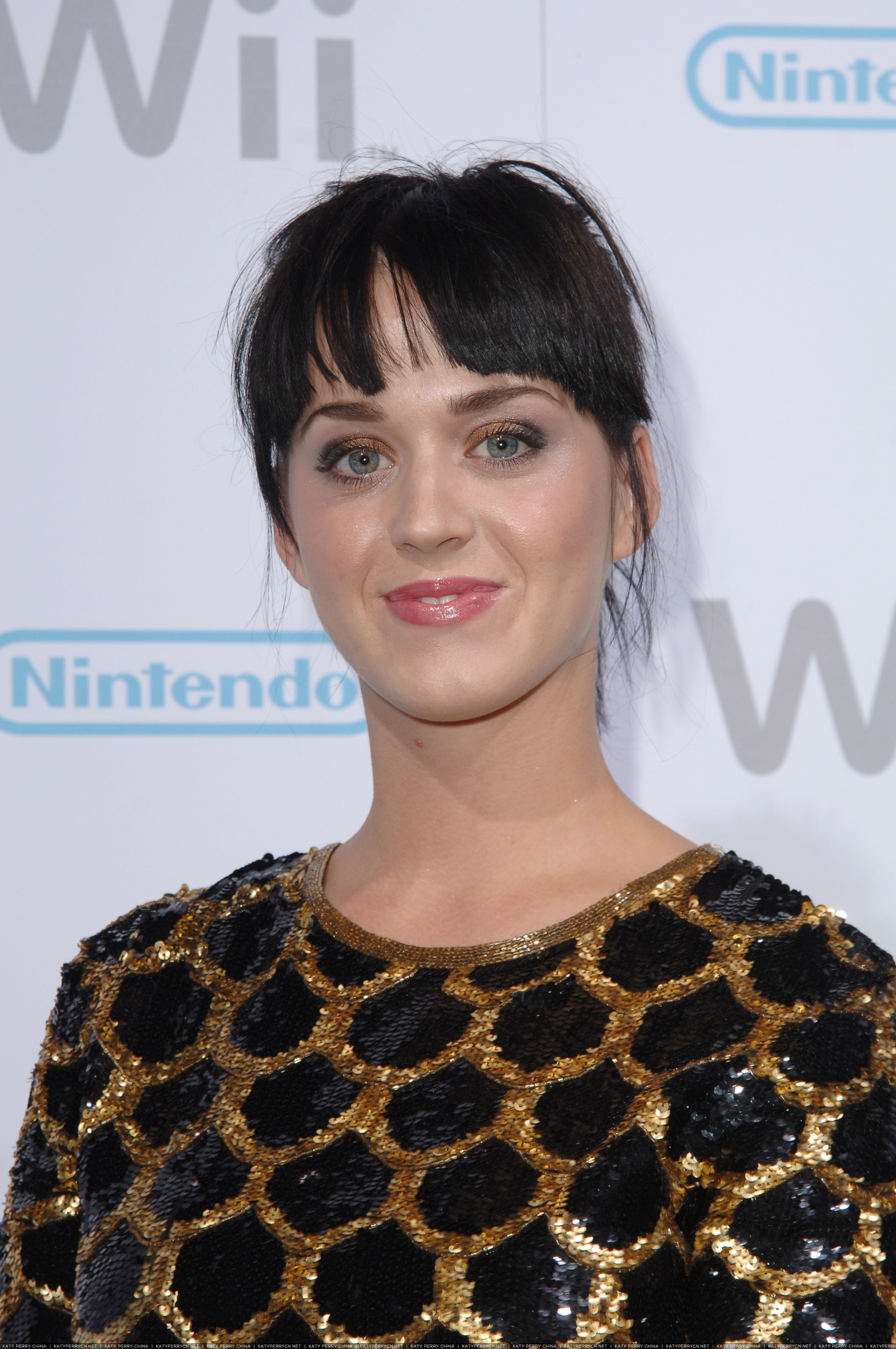 任天堂 Wii 新品发布派对 - 2006年11月16日