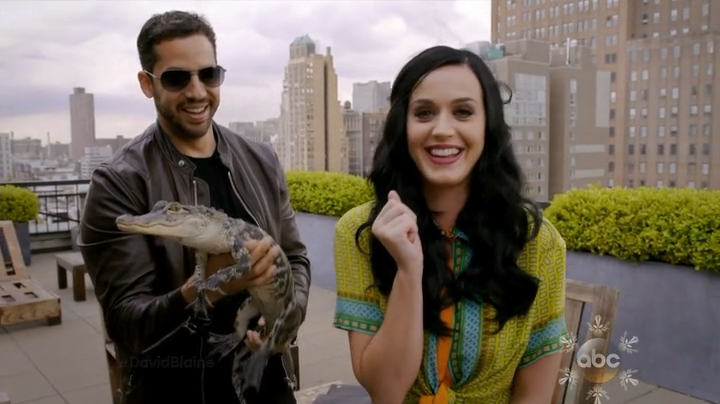 David Blaine: Real or Magic: 兔子戏法