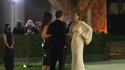 奥斯卡电影博物馆开幕活动 场外视频