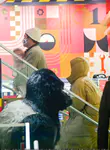 Katy Perry 和 Orlando Bloom 逛儿童玩具店 FAO Schwarz - 2022年1月28日