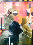 Katy Perry 和 Orlando Bloom 逛儿童玩具店 FAO Schwarz - 2022年1月28日