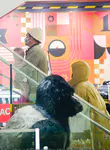 Katy Perry 和 Orlando Bloom 逛儿童玩具店 FAO Schwarz - 2022年1月28日