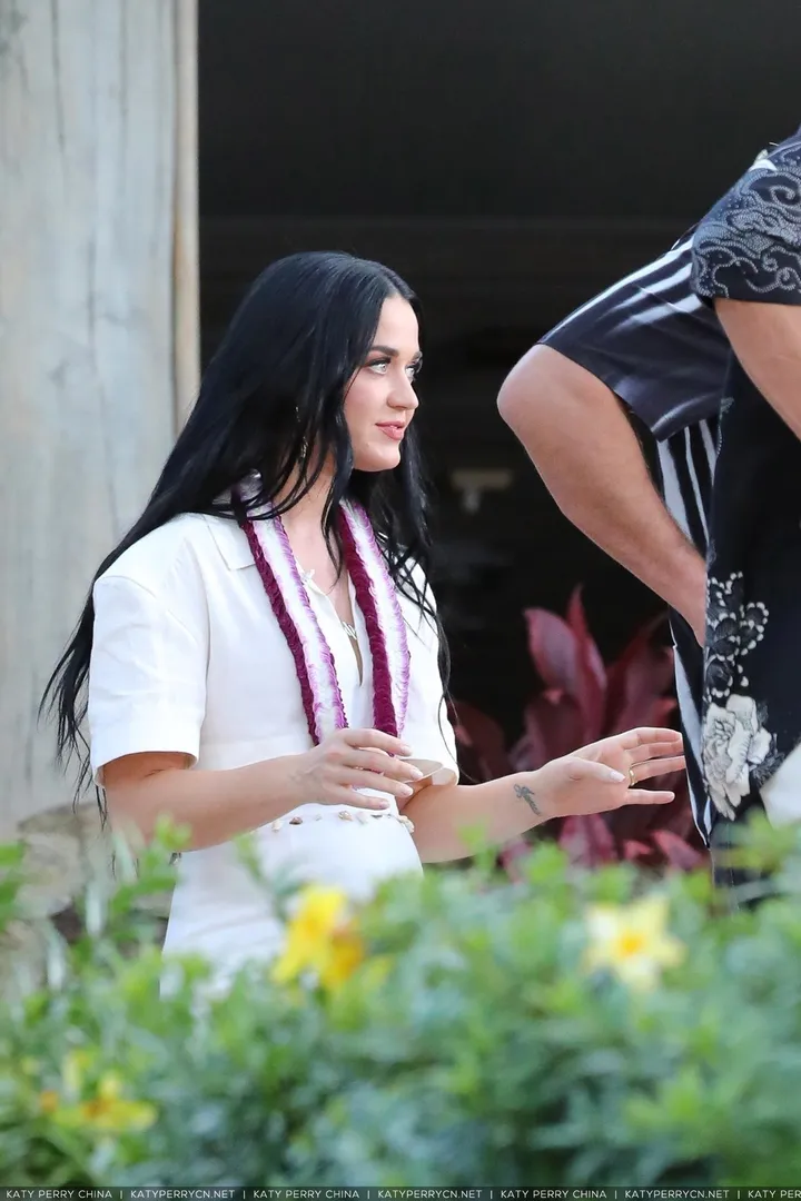 《美国偶像》在夏威夷录制节目 - 2022年2月14日