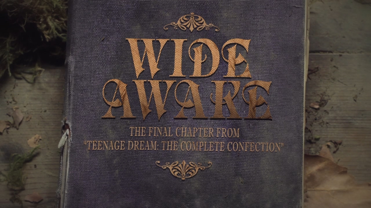 Wide Awake (音乐录影带 预告片)