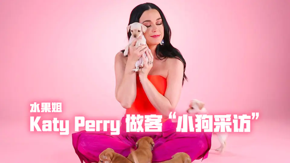 Katy Perry 做客“小狗采访” | BuzzFeed