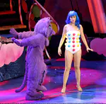 California Dreams Tour | New York City, NY - November 16, 2011