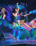 California Dreams Tour | New York City, NY - November 16, 2011