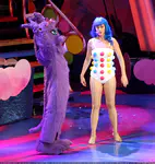 California Dreams Tour | New York City, NY - November 16, 2011