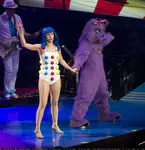 California Dreams Tour | New York City, NY - November 16, 2011