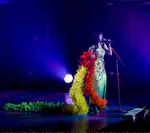 California Dreams Tour | New York City, NY - November 16, 2011